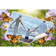 Рамка для фото онлайн - Теплый летний день с бабочками