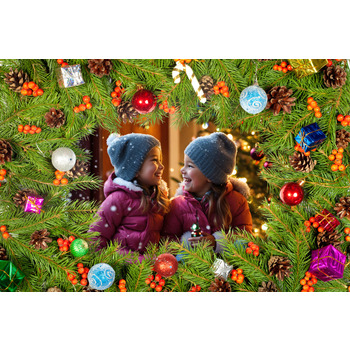 Хвойная рамка для фото онлайн с новогодними игрушками