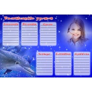 Расписание уроков в синих тонах с дельфинами